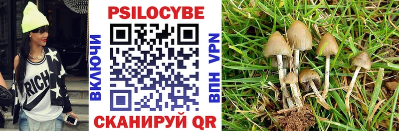 где продают   Домодедово  Галлюциногенные грибы ЛСД 