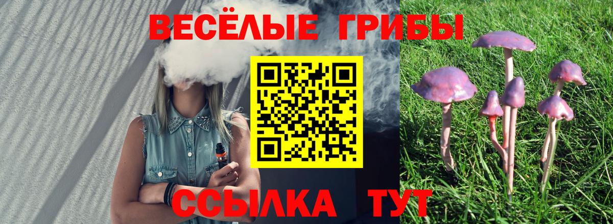 Домодедово  Галлюциногенные грибы мухоморы  Псилоцибиновые грибы MAGIC MUSHROOMS  Вход с VPN 