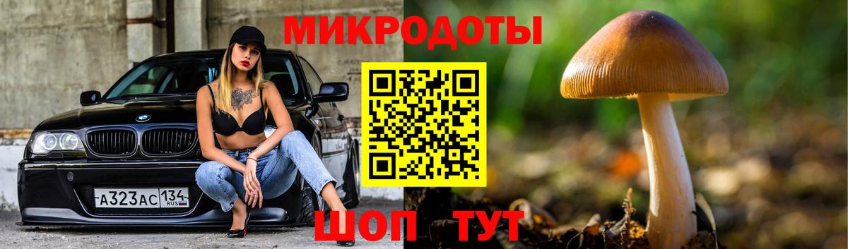 Псилоцибиновые грибы ЛСД Домодедово