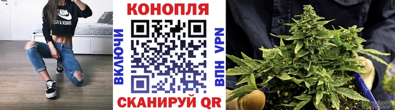 Канабис SATIVA & INDICA  наркошоп  Домодедово 